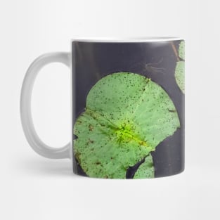 Freckled Water Lillies Photograph Mug